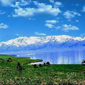 新疆风景名胜美女美食特产